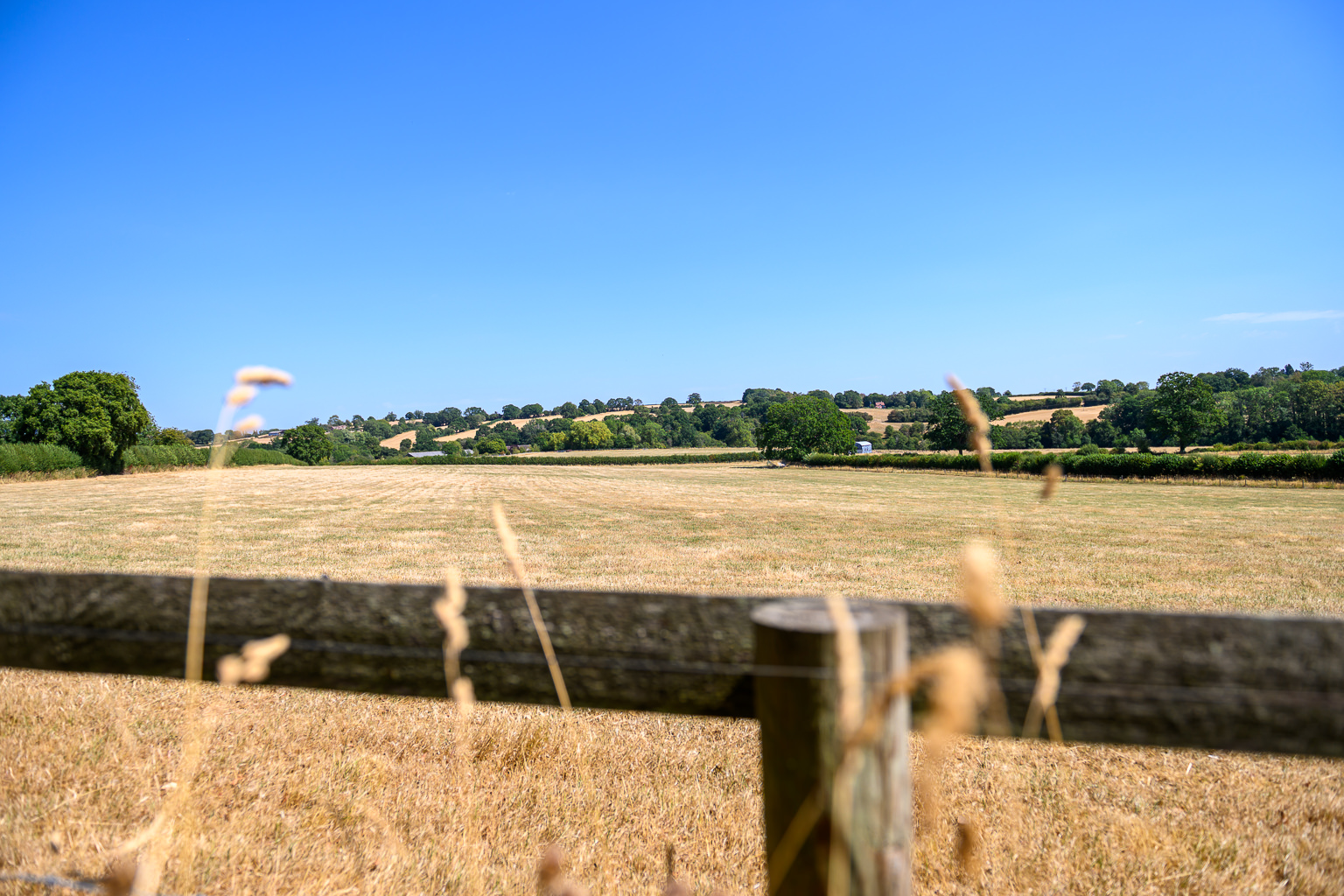 Fields at Reaside Farm