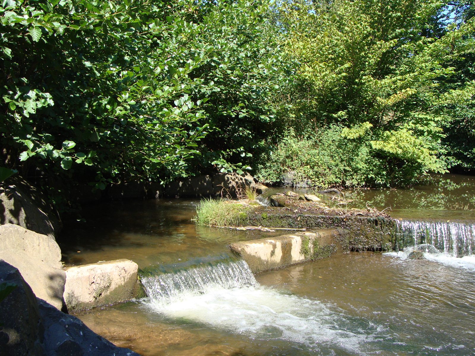 Fish pass on the River Rea at Reaside Farm