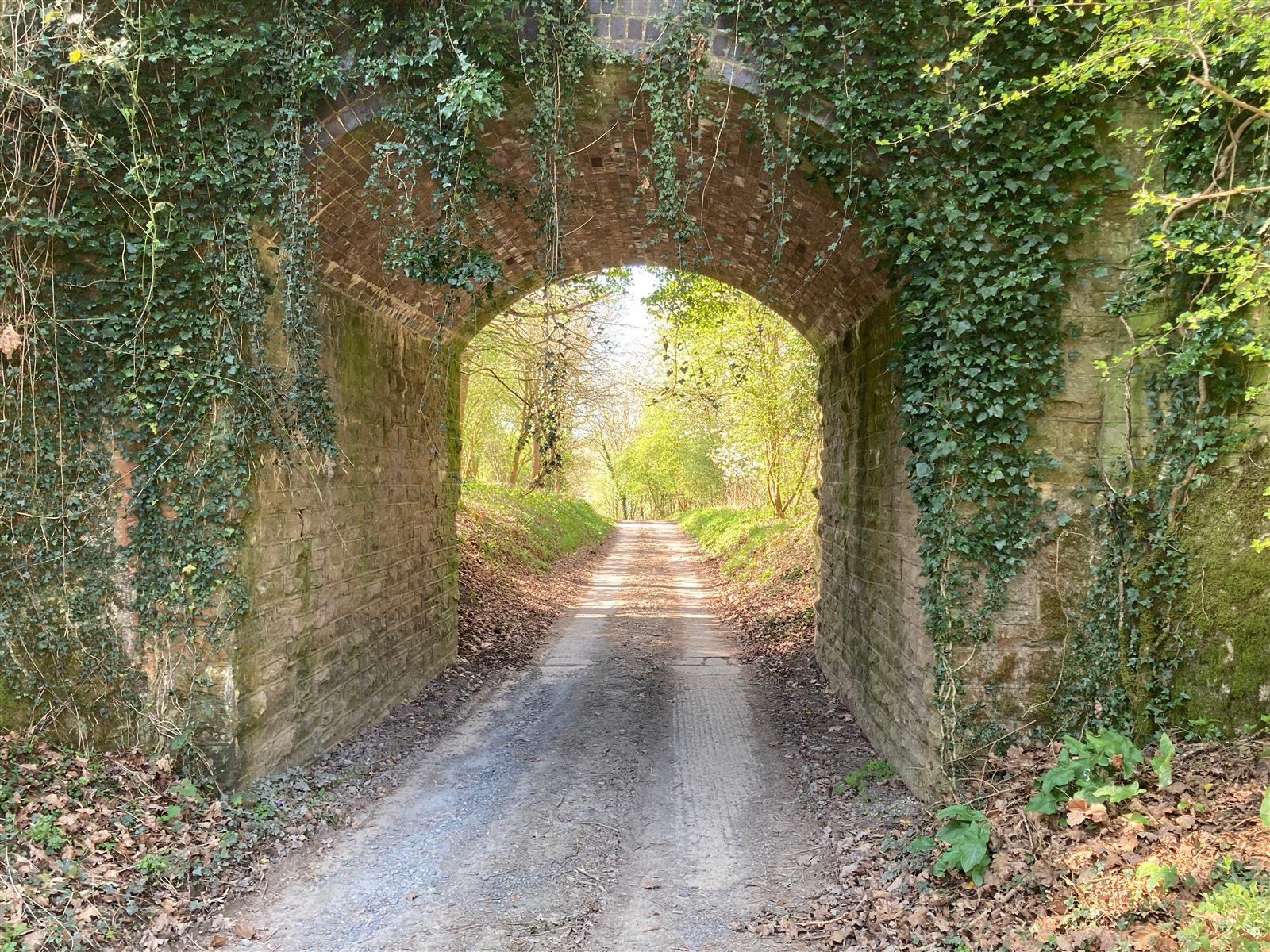 Farm track under the old railway bridge