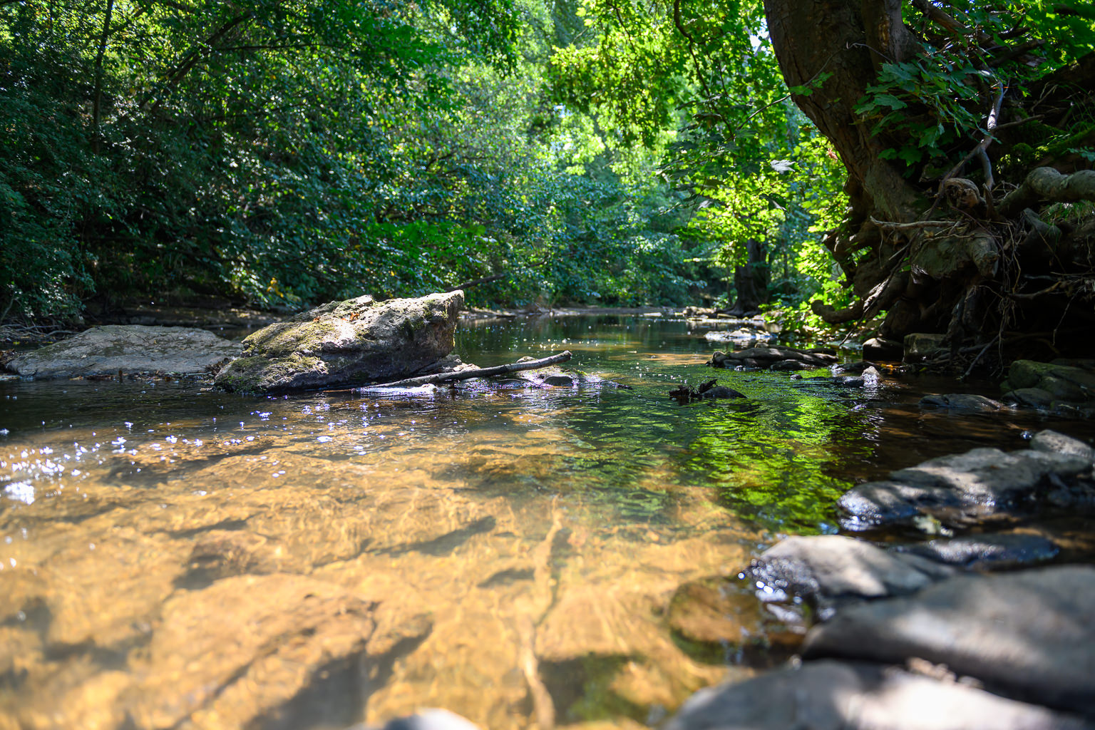 The River Rea running through Reaside Farm