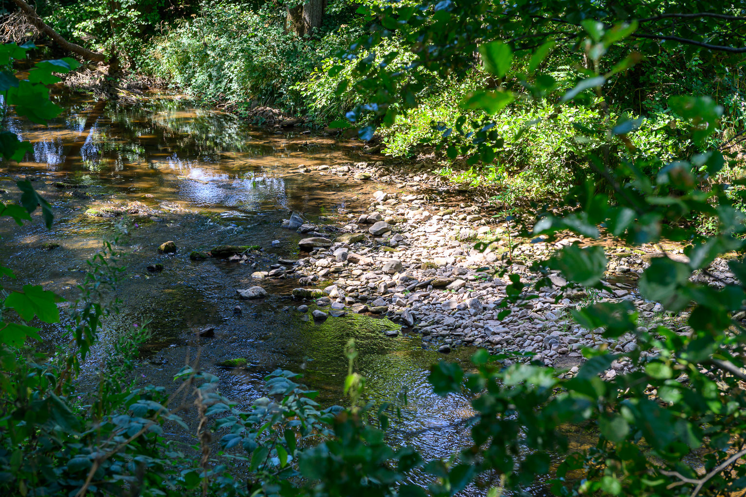 The River Rea at Reaside Farm