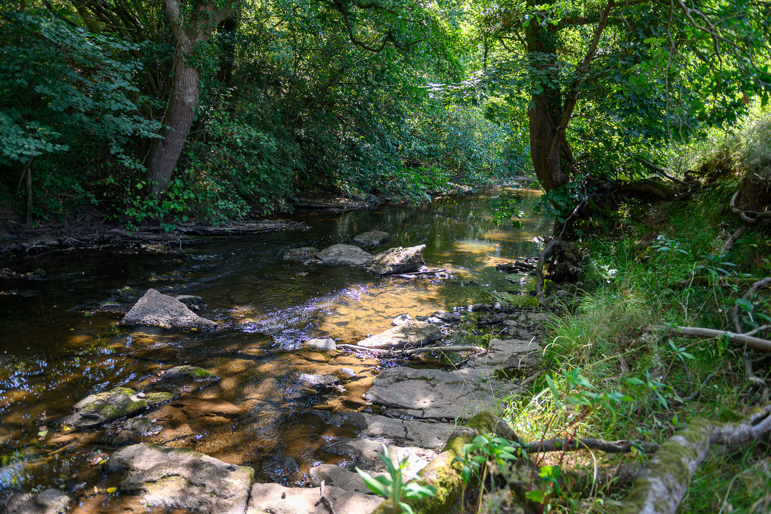 The River Rea running through Reaside Farm