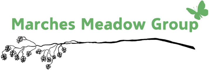 Marches Meadow Group