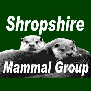 Shropshire Mammal Group
